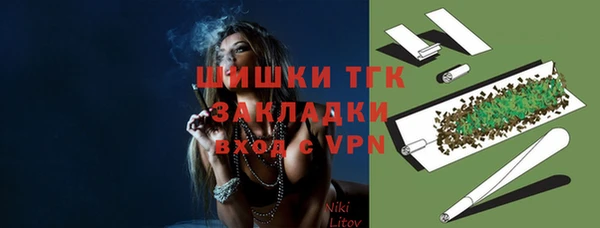 дурь Богородицк