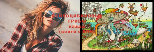 дживик Богданович
