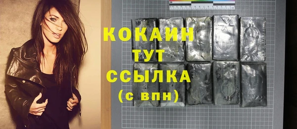 дживик Богданович
