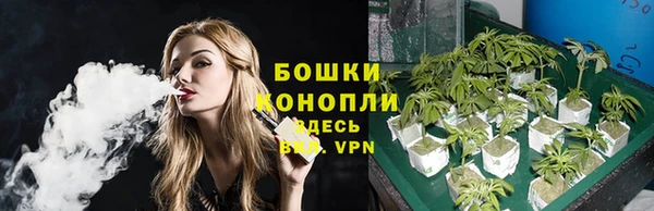 дурь Богородицк